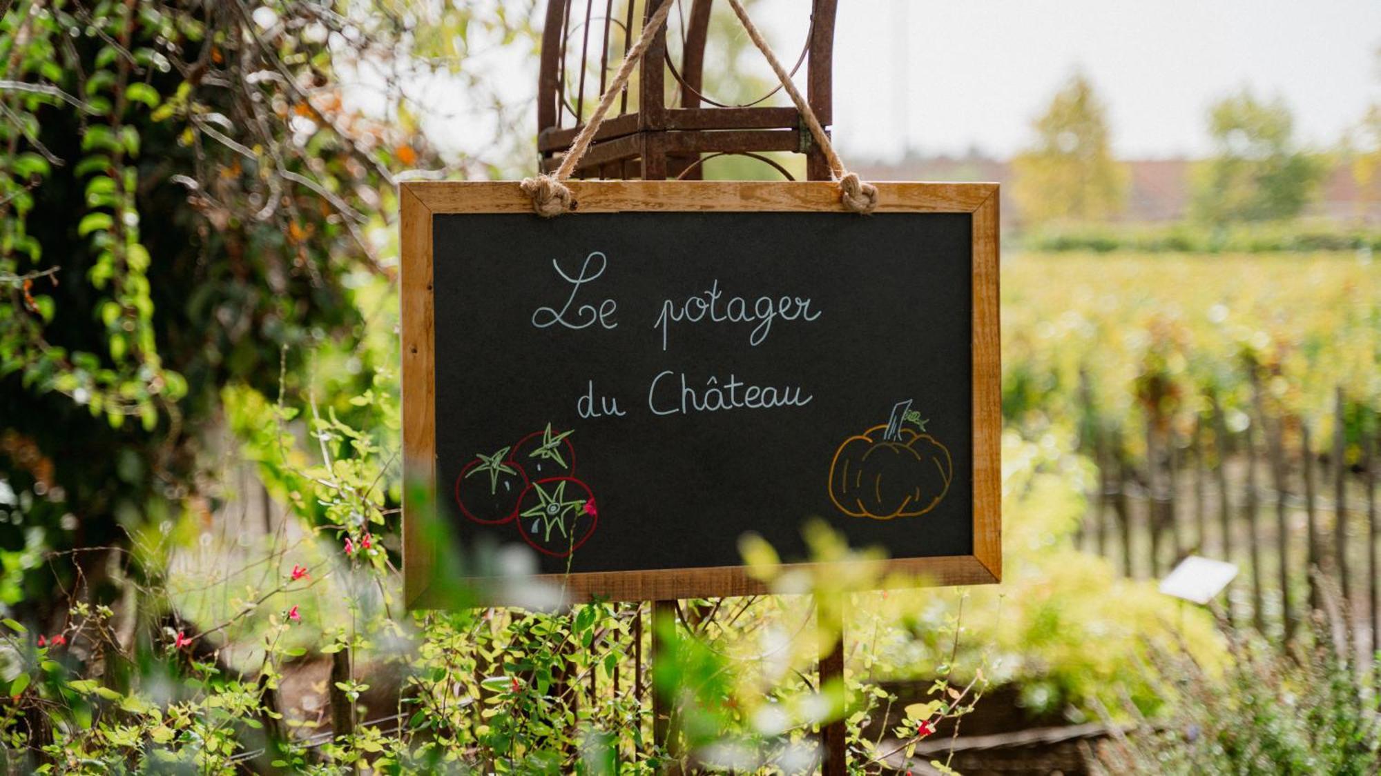 Chateau Pape Clement Pessac Exterior photo